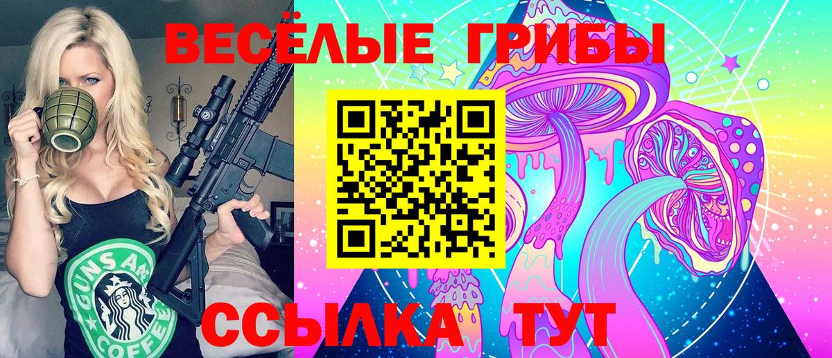 Псилоцибиновые грибы мицелий Щёлково
